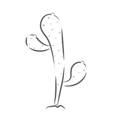 İzole kaktüs simgesi