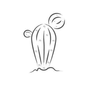 İzole kaktüs simgesi