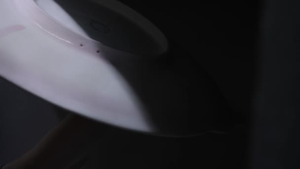 Женская Рука Распыляет Глазурь Большую Тарелку Закрывай Grayscale — стоковое видео