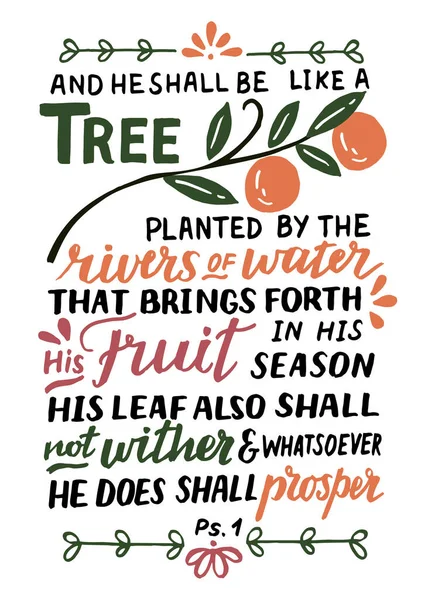 Hand lettering with Bible verse And he shall be like a tree. Psalm