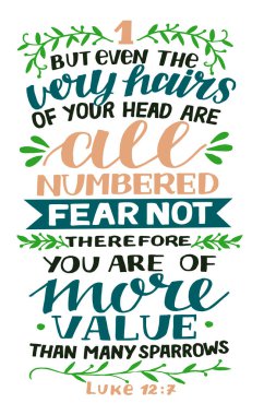 El yazısı ama kafandaki kıllar bile numaralandırılmış..