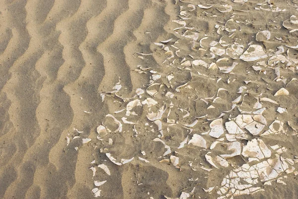 Dunas de arena en el desierto de Mojave — Foto de Stock