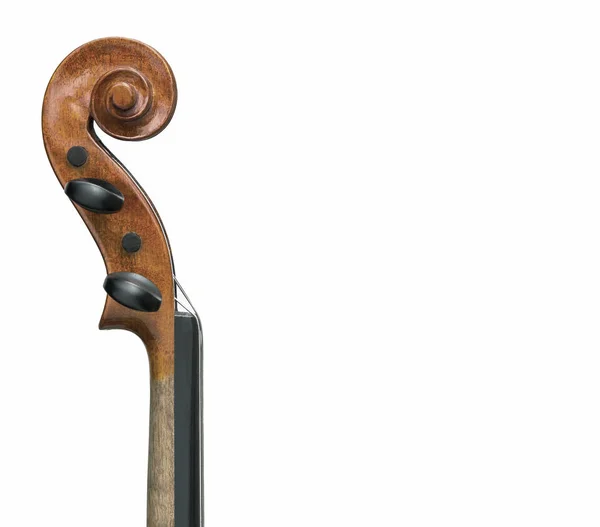 Violino pescoço tiro closeup — Fotografia de Stock