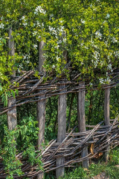 Régi fonott kerítés — Stock Fotó