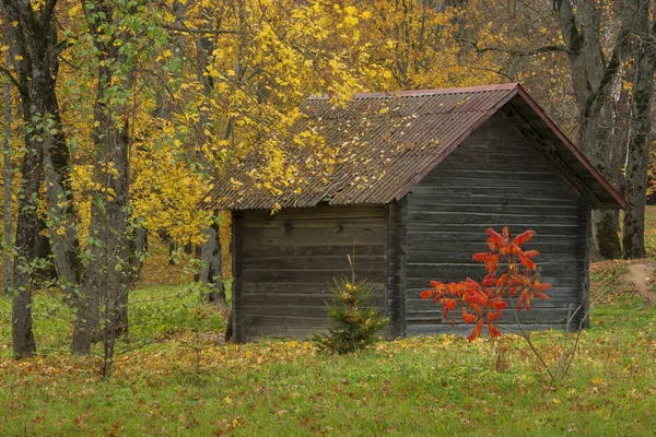 Antigua casa de madera en bosque de otoño — Foto de Stock