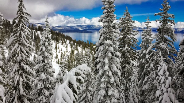 Lake tahoe i vinter — Stockfoto