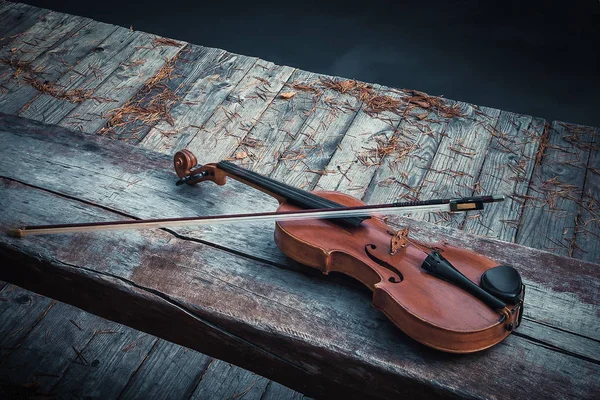 Housle. Podzimní melodie — Stock fotografie