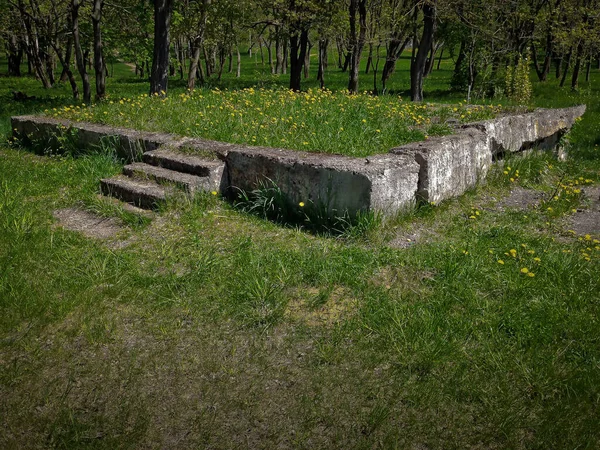 Une Ancienne Fondation Blocs Béton Une Maison Bois Démantelée Dresse — Photo