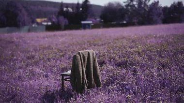Üzerinde giysiler olan bir sandalye.