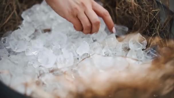 Flickan lägger ut is för drinkar — Stockvideo