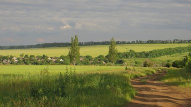 Tarlaların arasında köy