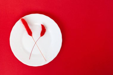 kırmızı kurutulmuş doğal çiçek buketleri Lagurus ovatus ve kırmızı arka planda beyaz yuvarlak tabak