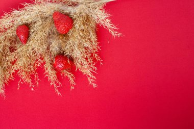 Kırmızı arka planda kuru sazlıklar ve kırmızı çilekler, izole edilmiş
