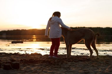 Bir kız gün batımında kumlu bir sahilde köpekle oynuyor.