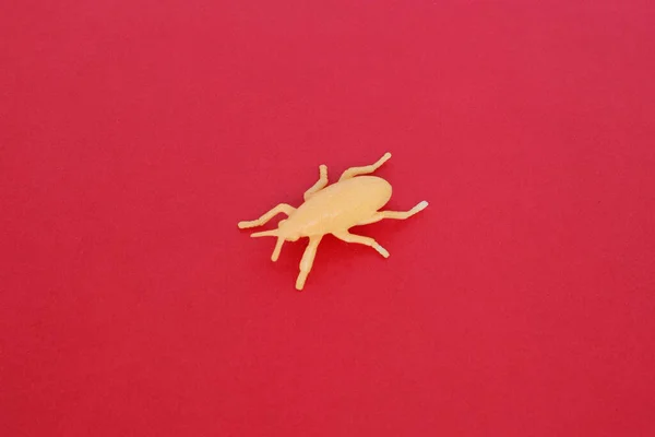 Insecto Juguete Plástico Escarabajo Beige Garrapata Fondo Rojo Aislado Cerca — Foto de Stock