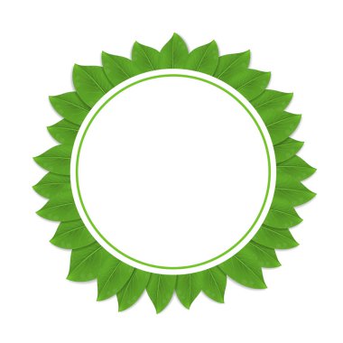 Yaprakları ile yuvarlak yeşil çerçeve. Vektör çizim.