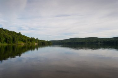 Orman gölü Mavi bulutlu gökyüzünün altında
