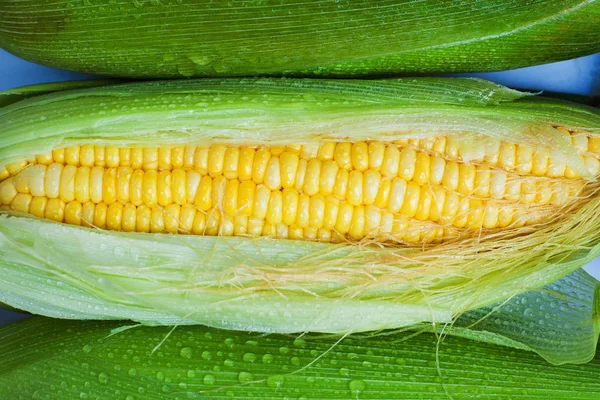 Свежая кукуруза крупным планом — стоковое фото