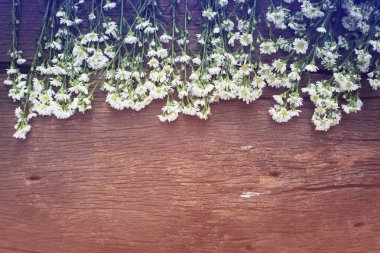 Uzay vintage ahşap zemin üzerine beyaz çiçekler