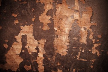 Eski çürüyen ve çürüyen tahta dokusuna yakın dur.