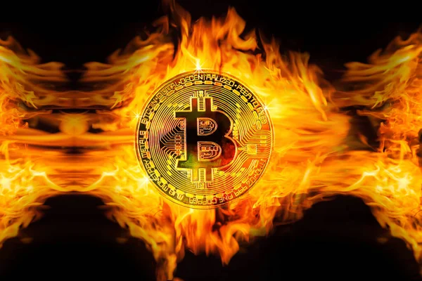 Zlatý Bitcoin Ohni Royalty Free Stock Obrázky