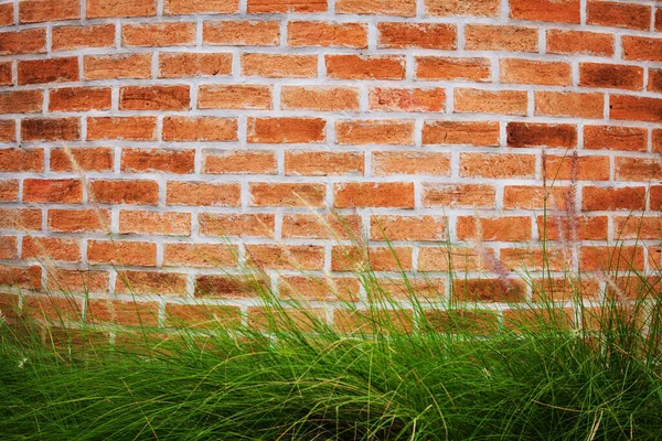 草のある赤い壁の背景 — ストック写真