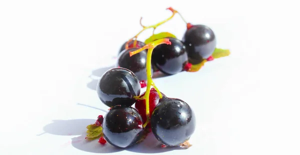 RIPE ve Delicious yaz meyveleri