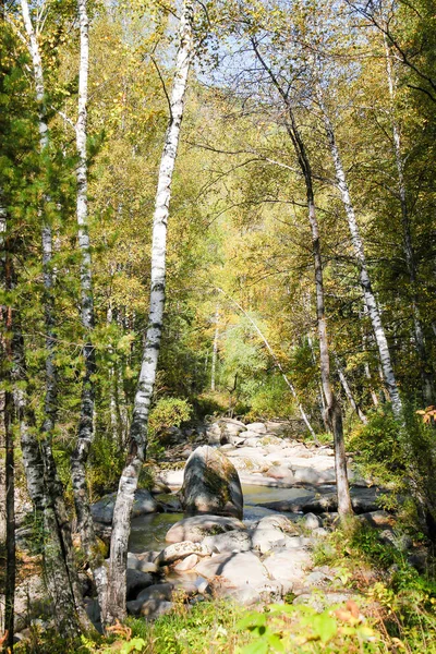 Ochennya ve sıradışı doğa