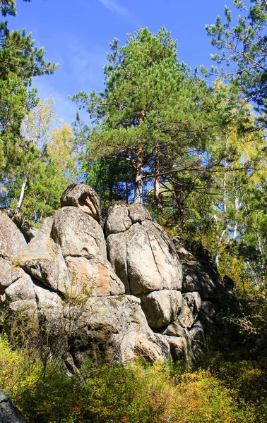 Une nature secrète et insolite — Photo