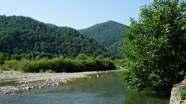 Piękna Górska Rzeka Wśród Wzgórz — Zdjęcie stockowe