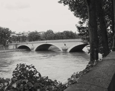 seine Nehri üzerinde köprü