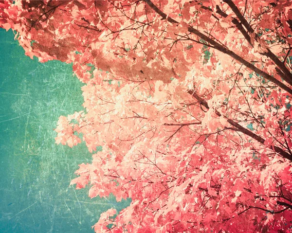Textured Fall Foliage — Stock Photo, Image