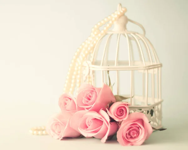 Gabbia per uccelli e rose — Foto Stock