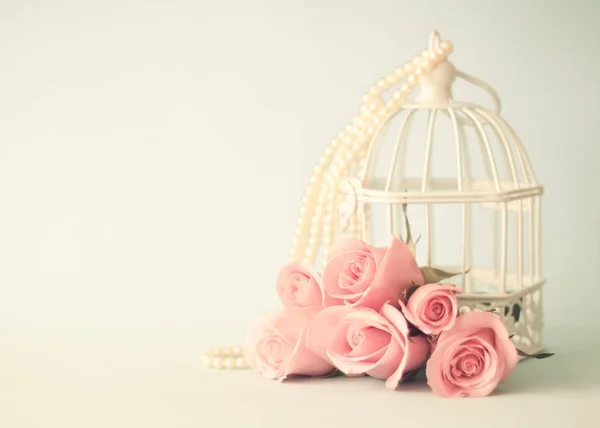Cage à oiseaux et roses — Photo