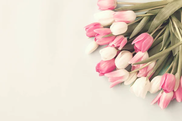 Various vintage tulips — Stock Photo, Image