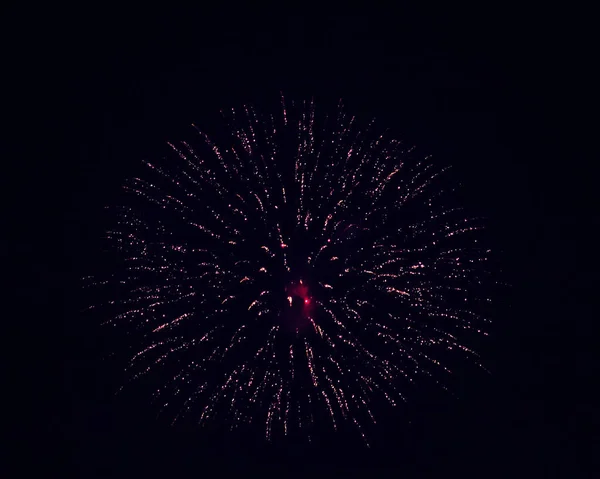 Fogos de artifício coloridos no céu — Fotografia de Stock