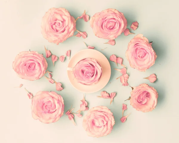 Pink Roses in circle — Stock Photo, Image