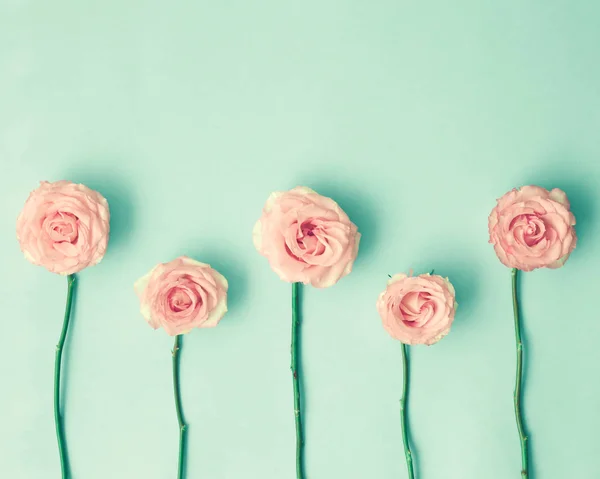 Róże na mint — Zdjęcie stockowe