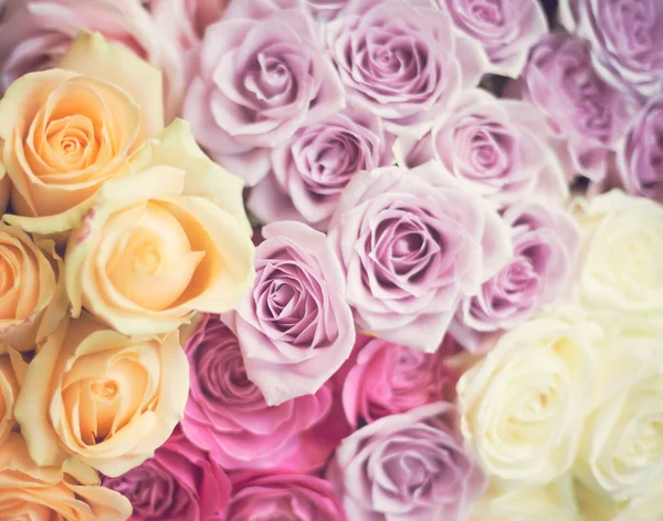 Bouquets vintage de rosas — Fotografia de Stock