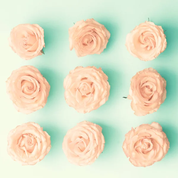 Rosas rosa vintage em hortelã — Fotografia de Stock