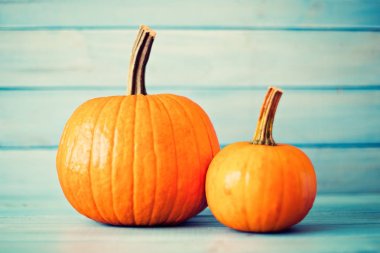 Turkuaz ahşap üzerinde kabaklar