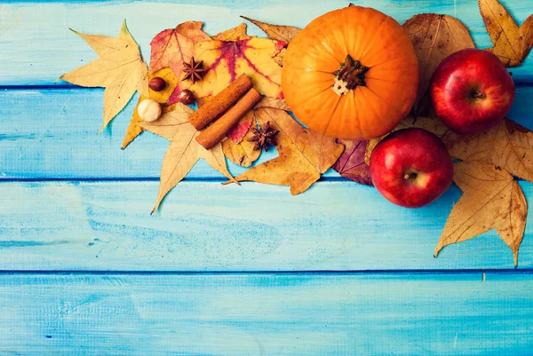 Calabaza, manzana y especias —  Fotos de Stock