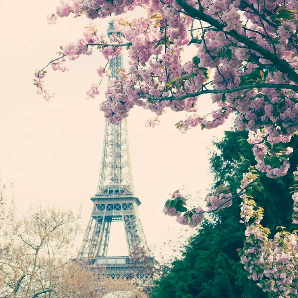 봄의 에펠 탑 — 스톡 사진