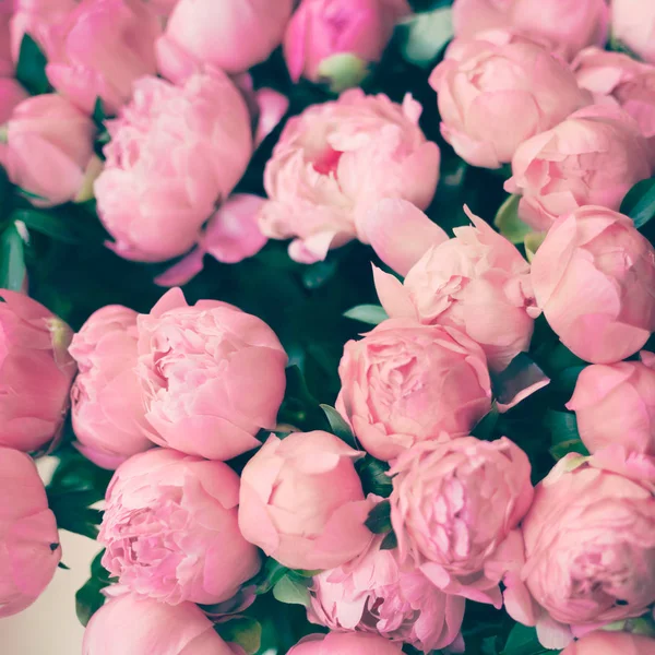 Вінтаж Париж троянд — стокове фото
