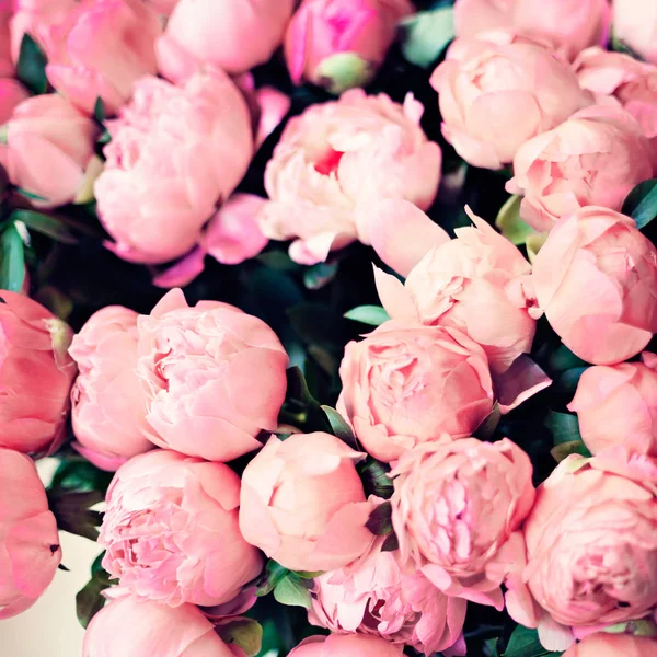 Rosas vintage de Paris — Fotografia de Stock