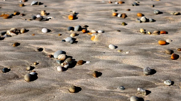 Крупным Планом Раскрашенные Маленькие Камни Мокром Песке Пляж Фон — стоковое фото