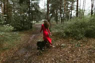 Kırmızı elbiseli bir köpekle ormanda koşan kıvırcık kız, kırmızı saçlı, kıvırcık elbiseli, hareketli, ormanda, parkta, siyah bir köpekle koşan kız..