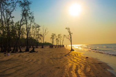 Deniz kıyısından gün doğumu / Sabah güneşi manzarası