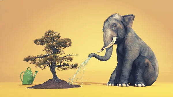 Слон поливает дерево — стоковое фото