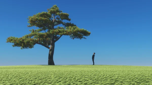 Человек смотрит на дерево — стоковое фото